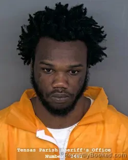 Mugshot of JAQUAN J DOMINICK booked in Tensas County, Louisiana on March 30, 2026