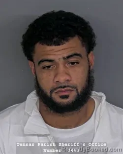 Mugshot of BRIAN A GIBSON booked in Tensas County, Louisiana on March 30, 2026