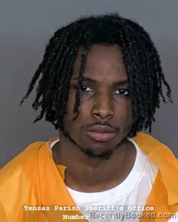 Mugshot of ELIJAH RIGGINS booked in Tensas County, Louisiana on March 30, 2026