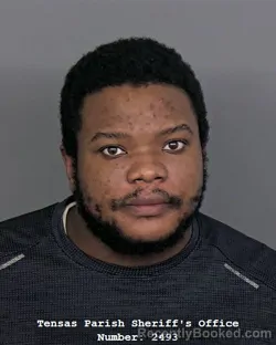 Mugshot of DECARLOS L THOMAS booked in Tensas County, Louisiana on March 30, 2026