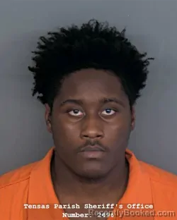 Mugshot of MARQUION DAVION TOLES