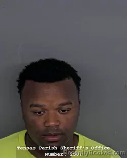 Mugshot of KENTERRIAN KENNELL ANDERSON booked in Tensas County, Louisiana on April 1, 2026