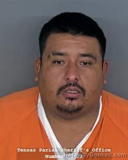 Mugshot of LUIS ALBERTO CASTILLO booked in Tensas County, Louisiana on April 9, 2026