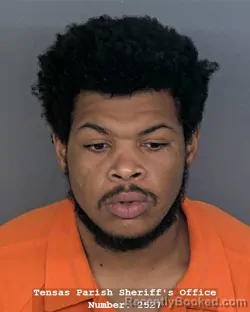 Mugshot of WYNSTON JAMAL COLLINS booked in Tensas County, Louisiana on April 9, 2026