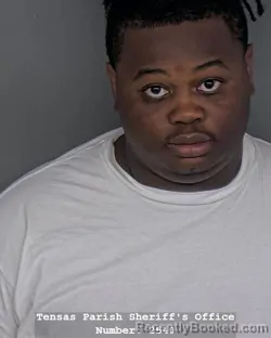 Mugshot of ANDRAVIOUS ARRINGTON booked in Tensas County, Louisiana on April 16, 2026