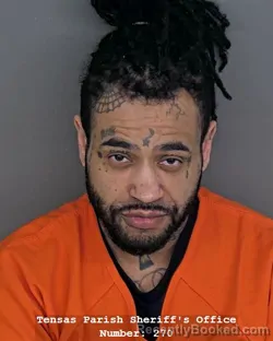 Mugshot of DANIEL P DOUCET booked in Tensas County, Louisiana on April 13, 2026