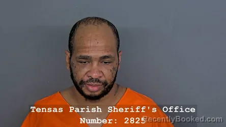 Mugshot of JAMANIEL D BROWN booked in Tensas County, Louisiana on July 20, 2026