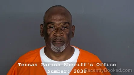 Mugshot of CURTIS CHAVIS booked in Tensas County, Louisiana on July 20, 2026