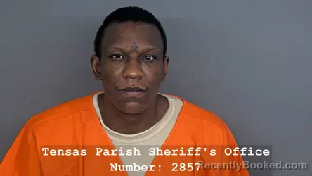 Mugshot of ROBERT MOSLEY booked in Tensas County, Louisiana on July 20, 2026