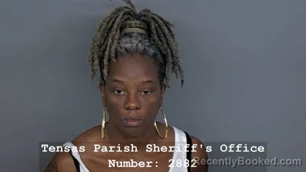 Mugshot of TAMEKA JENE REYNOLDS booked in Tensas County, Louisiana on July 25, 2026