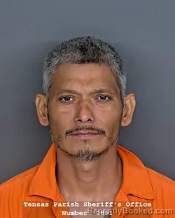 Mugshot of CHRISTIAN MAYORGA booked in Tensas County, Louisiana on July 28, 2026