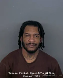 Mugshot of DAMIAN BARNES