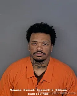 Mugshot of NATHANIEL PATRICK YOUNG