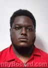 Mugshot of RODTRELL ANTHONY WALLACE