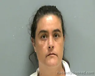 Mugshot of BRANDI GOODSON LUIZ