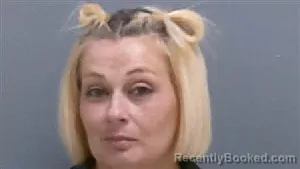 Mugshot of CHRISTIN ANITA COLLINS booked in Darlington County, South Carolina on June 3, 2026