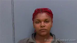 Mugshot of JADA TIERA BRUNSON booked in Darlington County, South Carolina on April 14, 2026