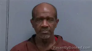 Mugshot of TERRY LEE BROWN