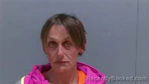 Mugshot of THERESA ANN STANLEY
