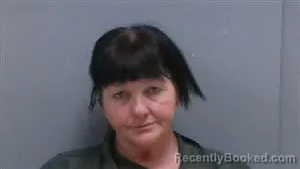 Mugshot of Tammy Mixon Windham booked in Darlington County, South Carolina on August 15, 2026