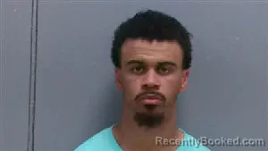 Mugshot of LEE THOMAS RIVERS