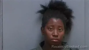 Mugshot of Sydney Elise Johnson booked in Darlington County, South Carolina on September 11, 2026