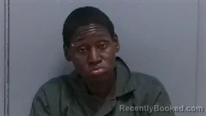 Mugshot of TYSHANA MONIQUE PARNELL booked in Darlington County, South Carolina on May 8, 2026