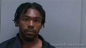 Mugshot of ANAJEE KANYE WILDS
