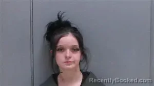 Mugshot of JAYDEN TAYLOR JEFFORDS booked in Darlington County, South Carolina on May 13, 2026