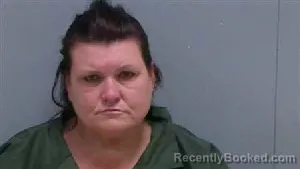 Mugshot of CHRISTY DALF HOPKINS