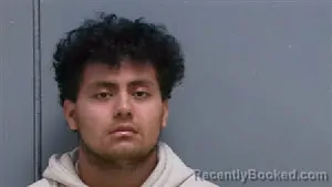 Mugshot of DIEGO ALEXANDER CAMPO