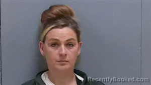 Mugshot of HEATHER MICHELLE COLLINS