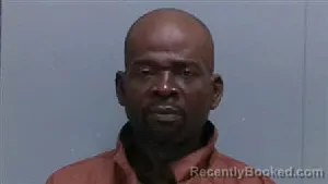 Mugshot of BRIAN ELGIN BROWN