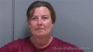 Mugshot of HEATHER LEE ADEEB booked in Darlington County, South Carolina on August 5, 2026