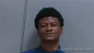 Mugshot of TERRY DIALS