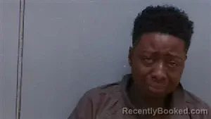 Mugshot of ASHLEY NICOLE HICKSON-GREEN