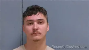 Mugshot of STAN LEONIDOVICH DANILENKO booked in Darlington County, South Carolina on April 3, 2026