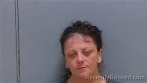 Mugshot of HEATHER BAILEY booked in Darlington County, South Carolina on April 14, 2026