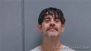 Mugshot of ROBERT ROBERSON booked in Darlington County, South Carolina on April 22, 2026