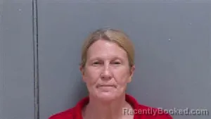 Mugshot of AMBER SON AMBERSON booked in Darlington County, South Carolina on May 11, 2026