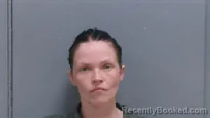 Mugshot of JANESSA STAR EVANS booked in Darlington County, South Carolina on May 14, 2026