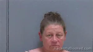 Mugshot of MICHELLE DION COLLINS booked in Darlington County, South Carolina on May 30, 2026