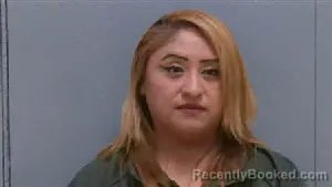 Mugshot of GRISELDA ALDANA RAMIREZ booked in Darlington County, South Carolina on June 29, 2026