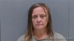 Mugshot of MICHELLE LEE BARRINEAV booked in Darlington County, South Carolina on July 8, 2026