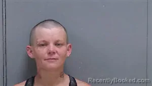 Mugshot of MEGAN POWELL booked in Darlington County, South Carolina on July 8, 2026