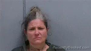 Mugshot of VIRGINIA LOUISE ERVIN booked in Darlington County, South Carolina on July 9, 2026