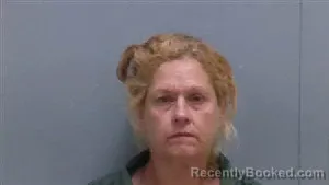 Mugshot of MANDY LEE STEPPE booked in Darlington County, South Carolina on July 10, 2026