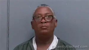 Mugshot of Mary Lee Ratliff booked in Darlington County, South Carolina on July 31, 2026