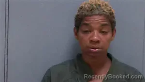 Mugshot of CHARILISA LASHAWN JOHNSON