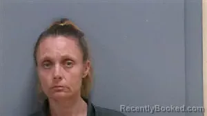 Mugshot of ALAINA LEE DIXON